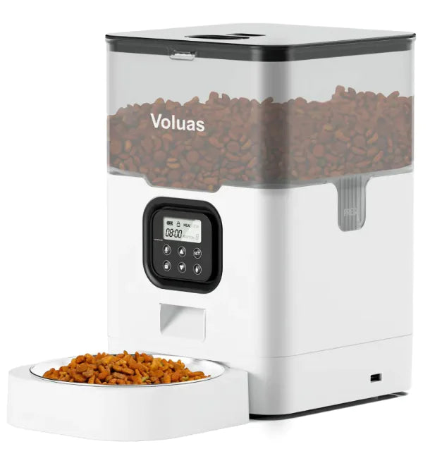 Intelligent Automatic Double Meal Pet Feeder (4L & 6L, Various Colors & Styles) - In Paw Store