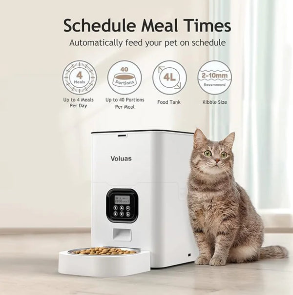 Intelligent Automatic Double Meal Pet Feeder (4L & 6L, Various Colors & Styles) - In Paw Store