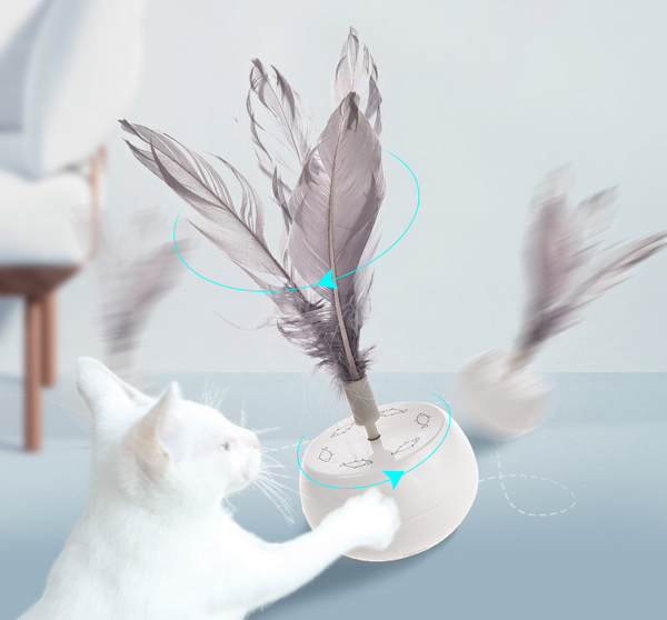 Electric Cat Toy with Feather Rotating Teaser