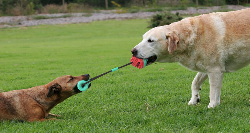 Dog Toy, Tug Rope Toy, Training Ball