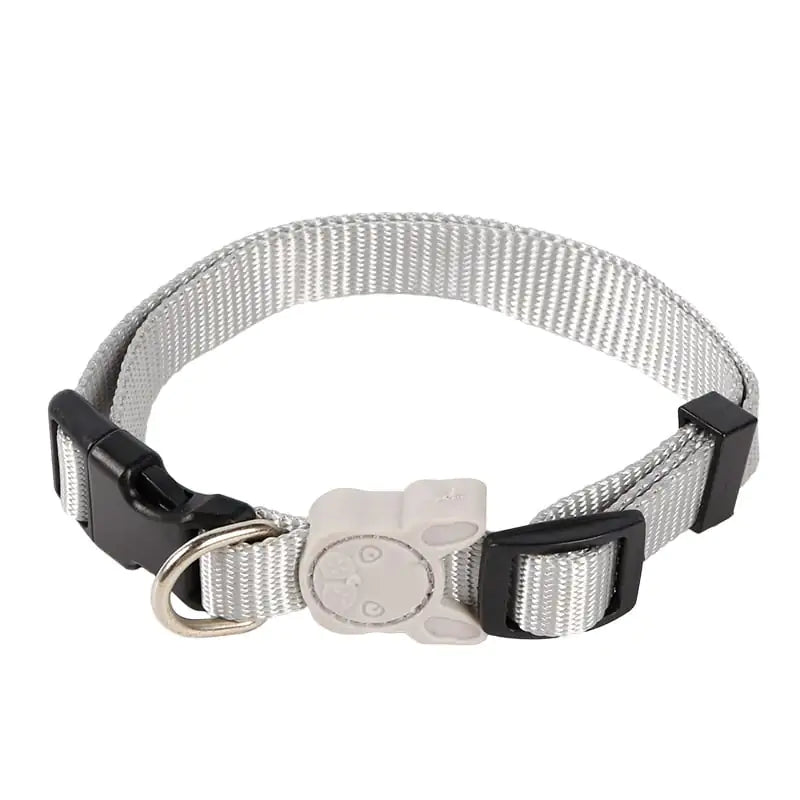 Retractable Dog Leash  Collars - In Paw Store
