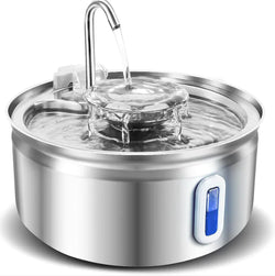 Smart Pet Water Dispenser - In Paw Store