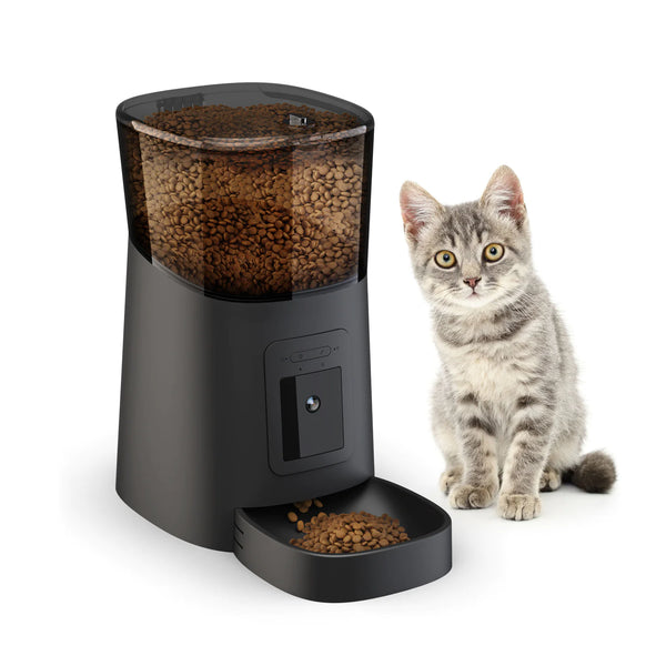 Automatic Pet Feeder - In Paw Store