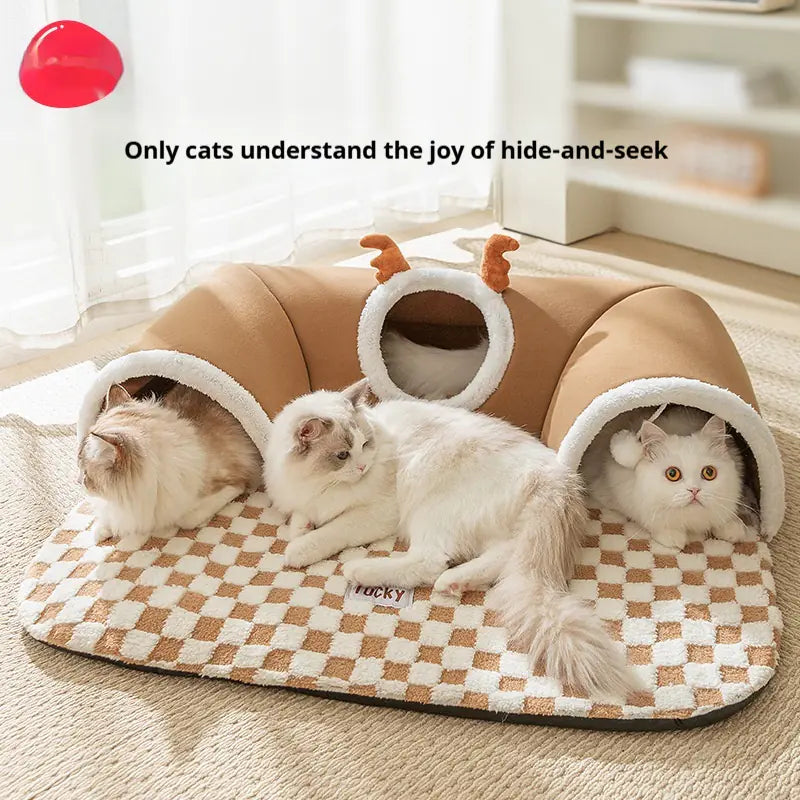 Cat Tunnel Play