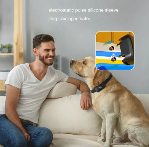Bark Control Collar