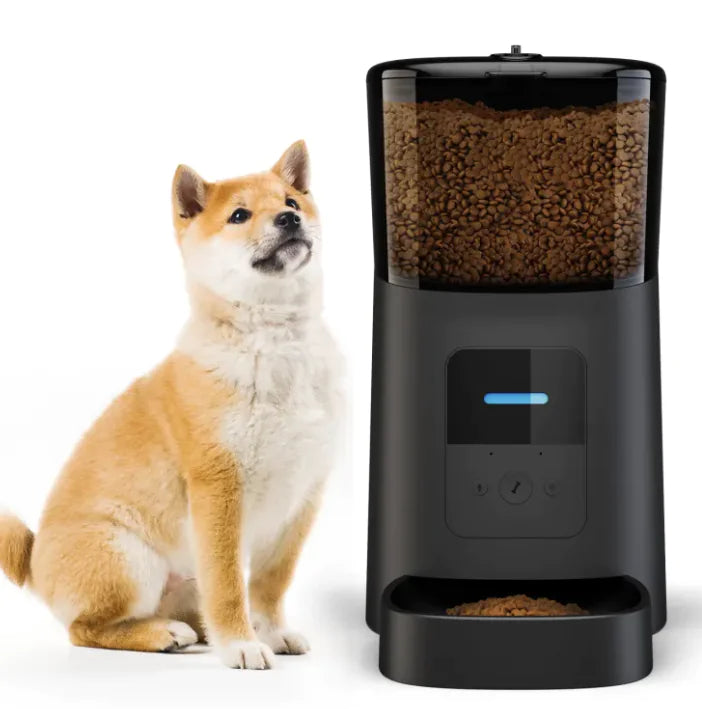 Pet Feeder - In Paw Store
