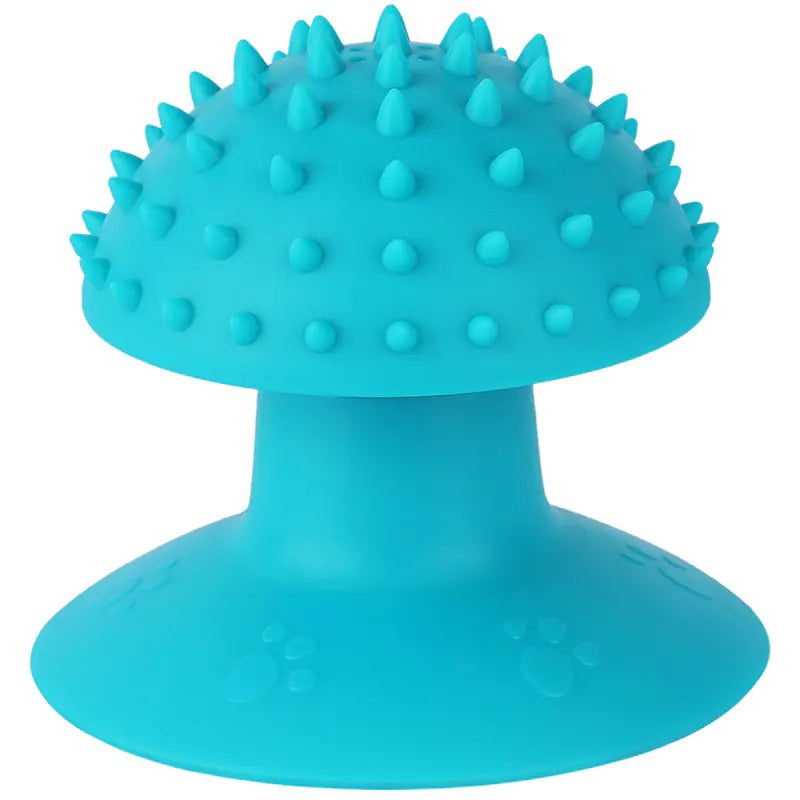 Pet Cat Suction Massager and Goomring Brush