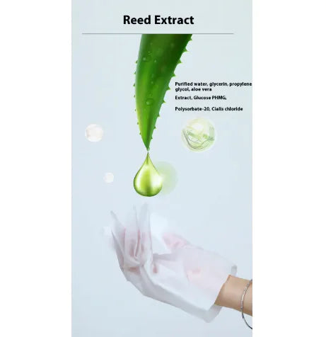 Pet Cleaning & Deodorizing Disposable Gloves