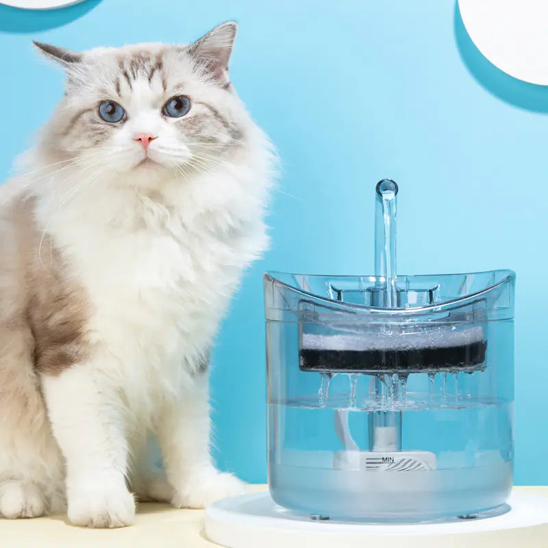 Pet Water Dispenser with Filters - In Paw Store