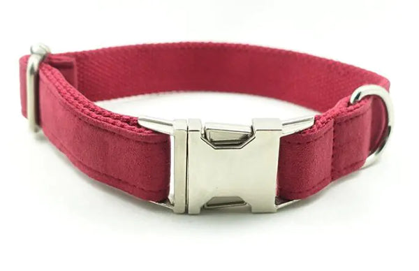 Dog Leash Collar for Pets - In Paw Store