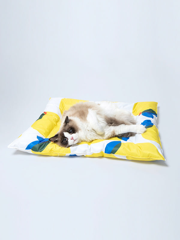 Pet Ice Gel Cooling Sleeping Pad for Dogs