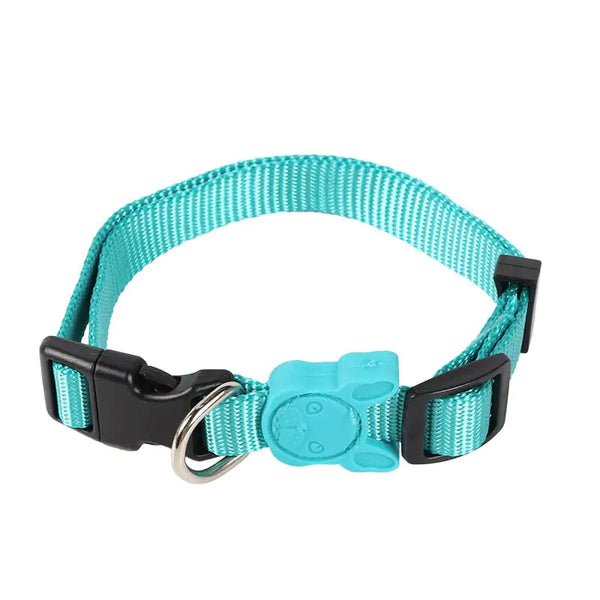 Retractable Dog Leash  Collars - In Paw Store