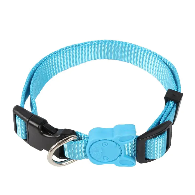 Retractable Dog Leash  Collars - In Paw Store