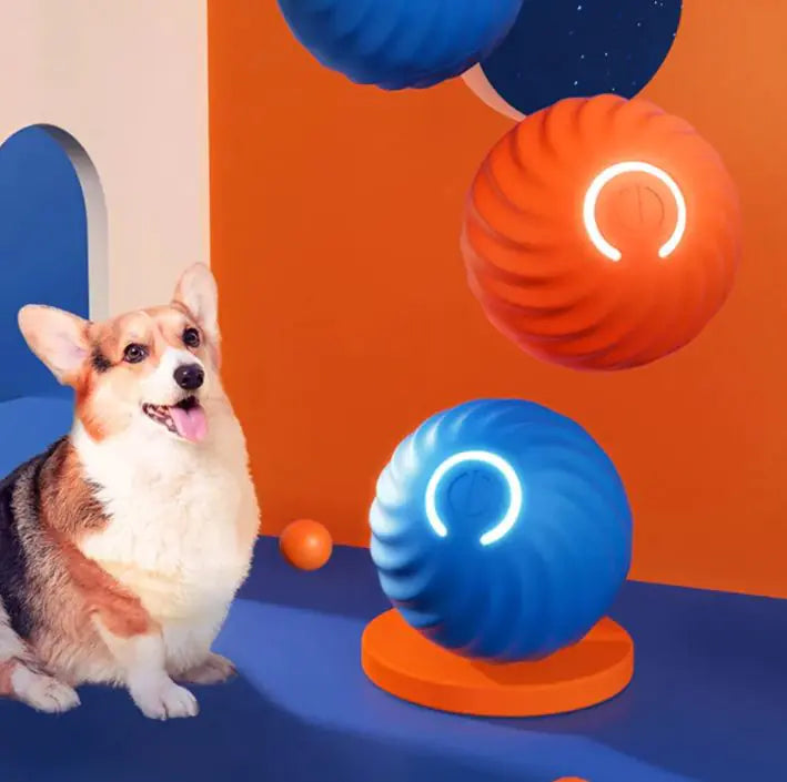 Rubber Ball Toys For Dogs - In Paw Store