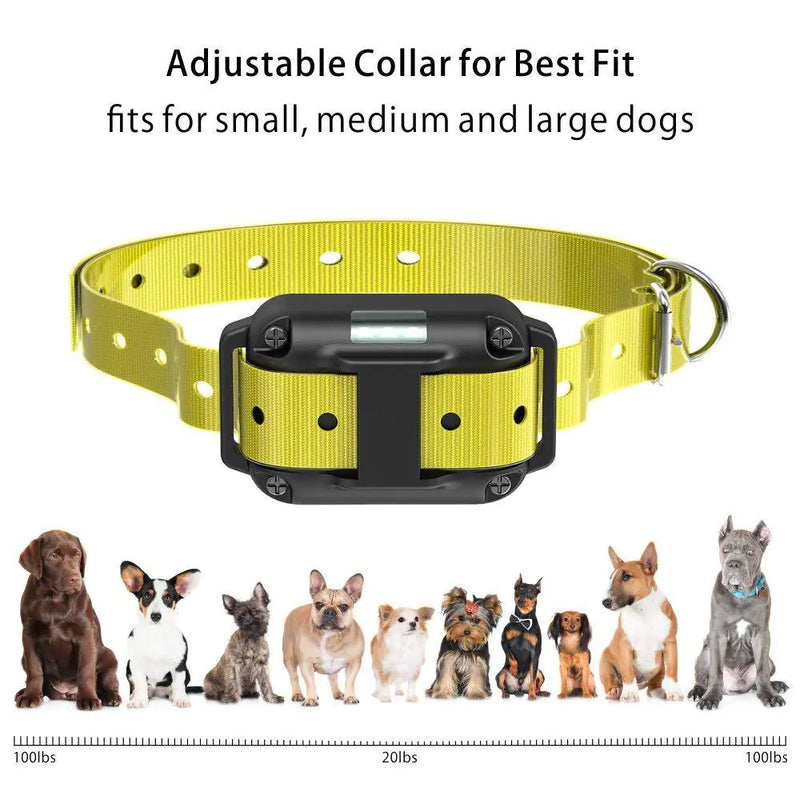 Electronic Bark Control Collar - In Paw Store