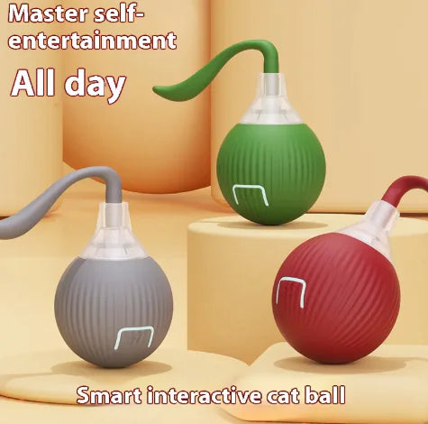 Interactive Cat Toy Ball - In Paw Store