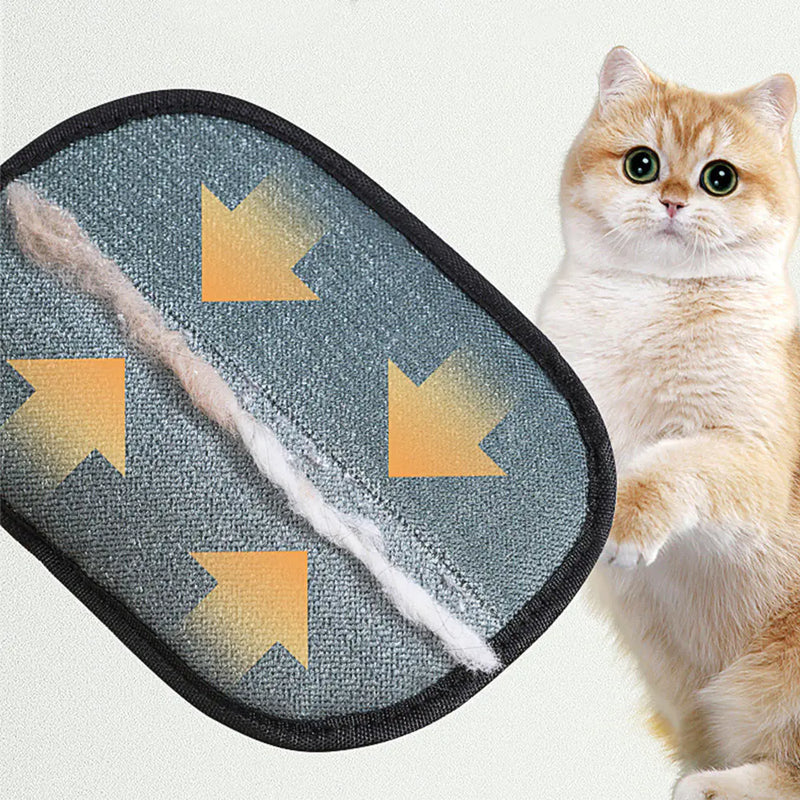 Grooming Glove for Pets - In Paw Store