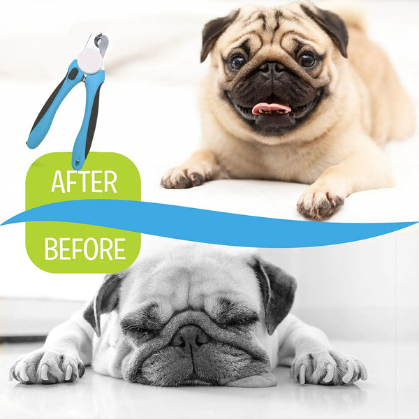 Pet Nail Clippers and Trimmers with Safety Guard - In Paw Store