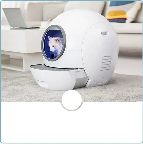 Smart Enclosed Litter Box - In Paw Store