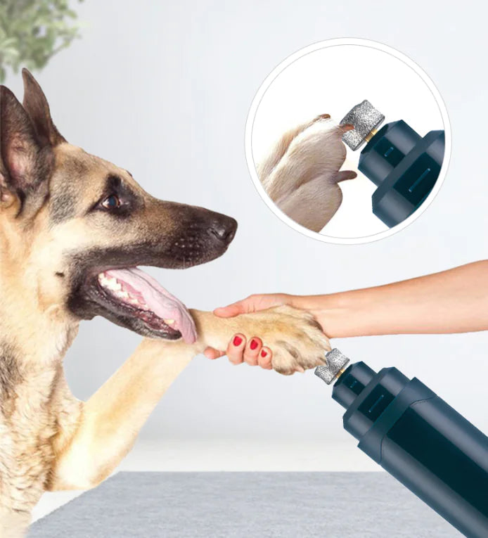 Electric Nail Grinder for Small Dogs and Cats - In Paw Store