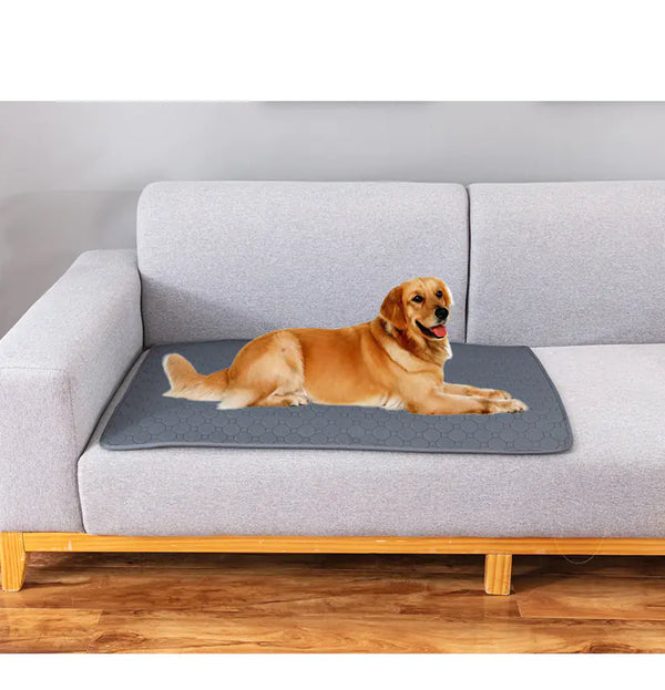 Reusable Pet Changing Pads - In Paw Store