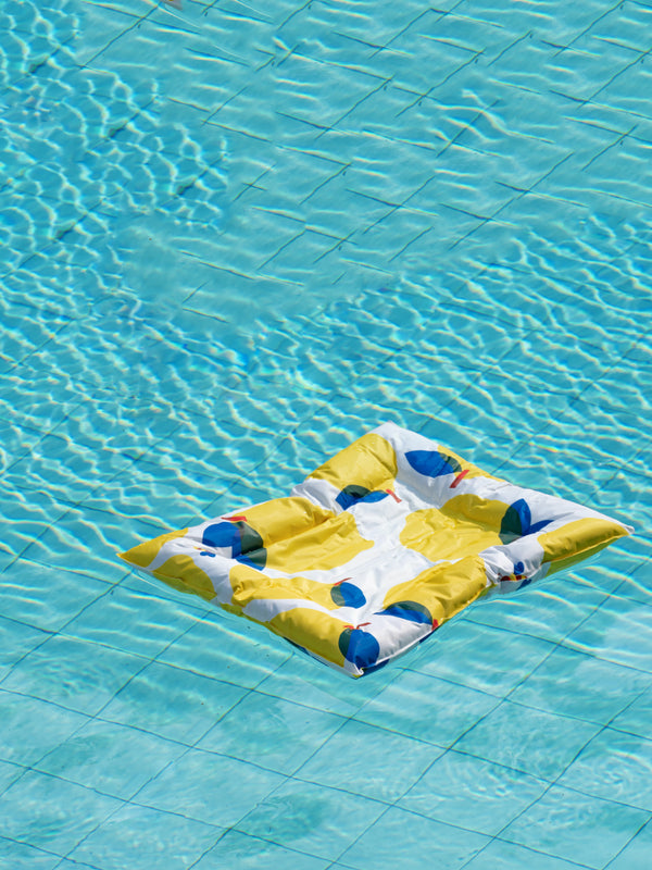 Pet Ice Gel Cooling Sleeping Pad for Dogs