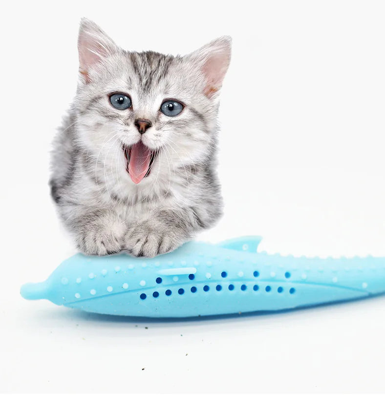 Cat Toothbrush Toy - Silicone Mint Fish Chew Sticks - In Paw Store