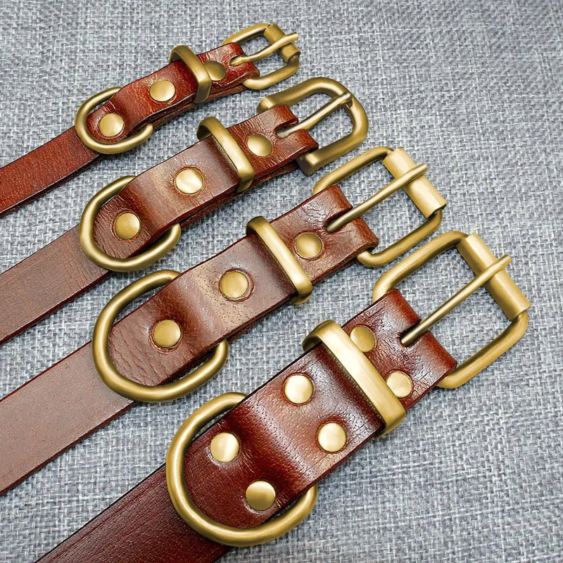 Custom Leather Dog Collars - In Paw Store