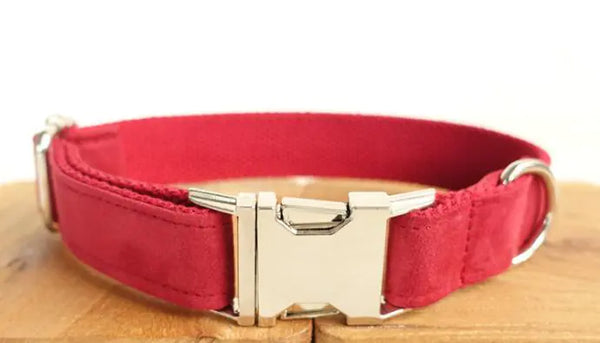 Dog Leash Collar for Pets - In Paw Store
