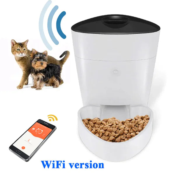Pet Feeder - In Paw Store