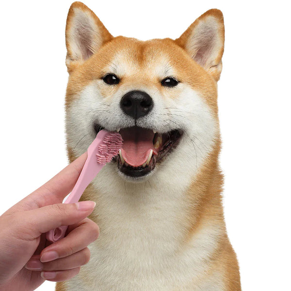Three-Head Silicone Finger Toothbrush for Dogs - In Paw Store