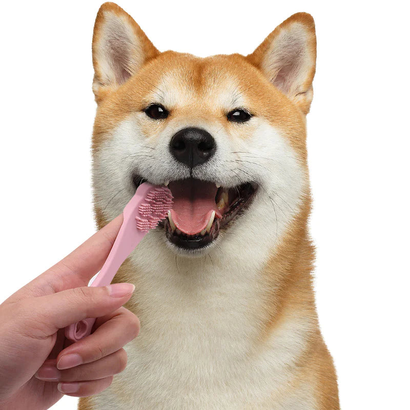 Three-Head Silicone Finger Toothbrush for Dogs - In Paw Store