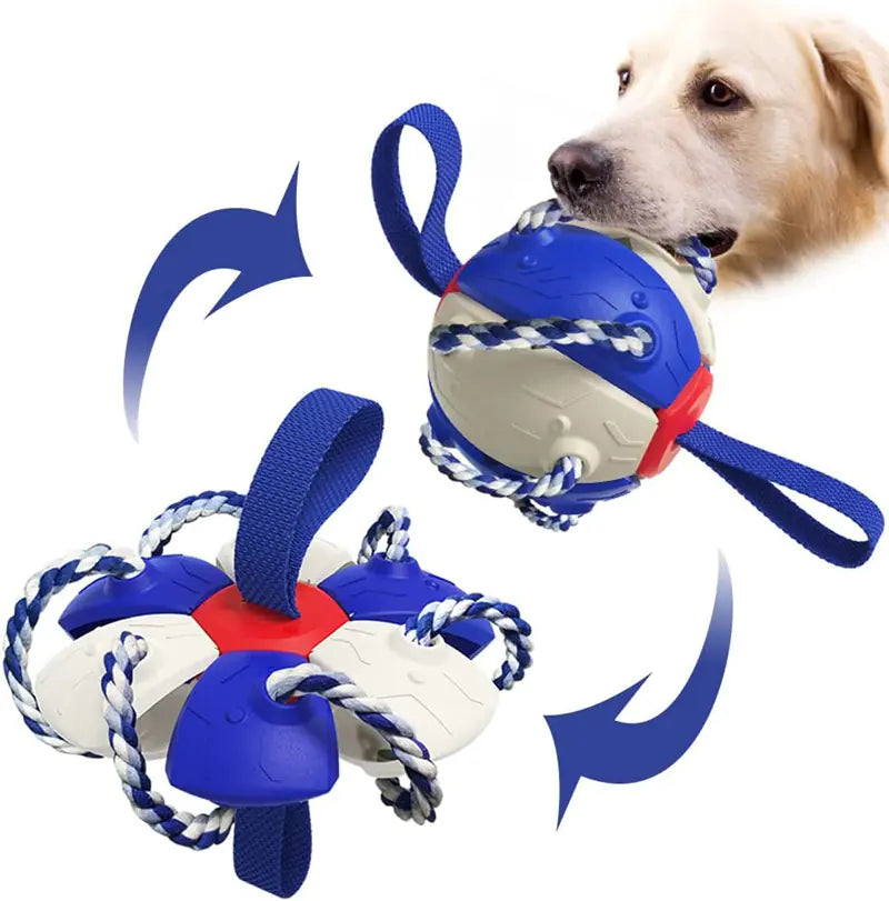 Interactive Inflatable Dog Soccer Ball Training Toy - In Paw Store