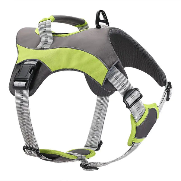 Dog Leashes and Chest Straps - In Paw Store