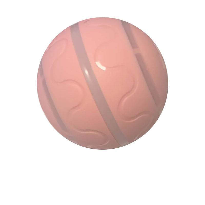 Wicked Ball Toy - In Paw Store