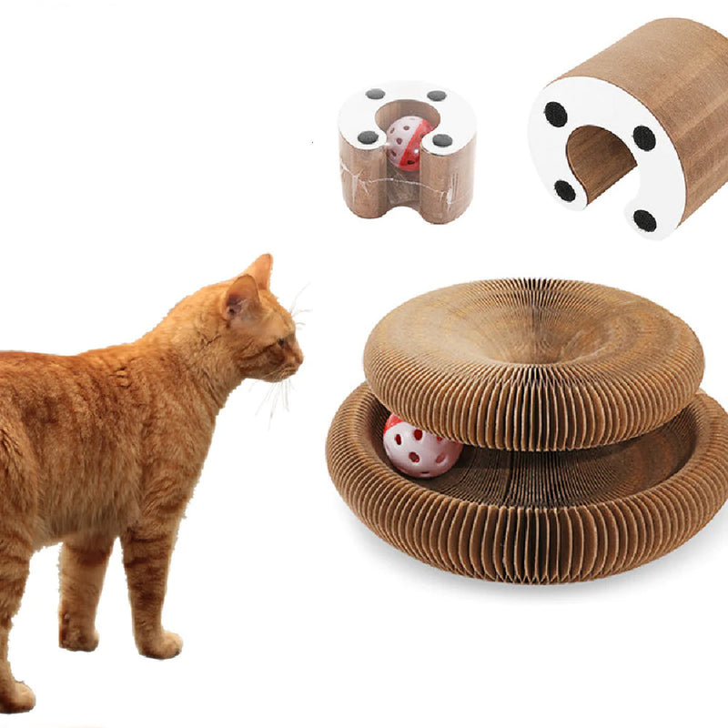 Magic Organ Cat Scratcher - In Paw Store