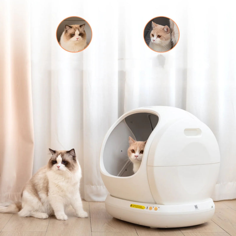 Fully Automatic Cat Litter Box Oversized - In Paw Store