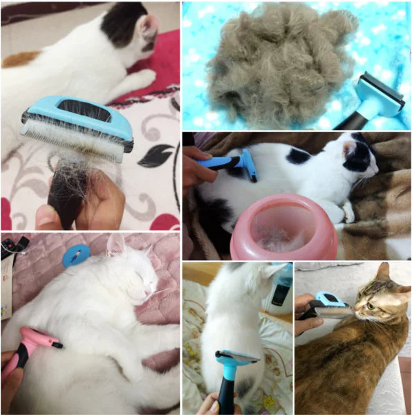 Self-Cleaning Pet Brush
