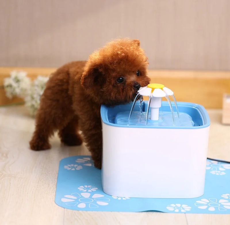 Water Fountain for Cats and Dogs - In Paw Store