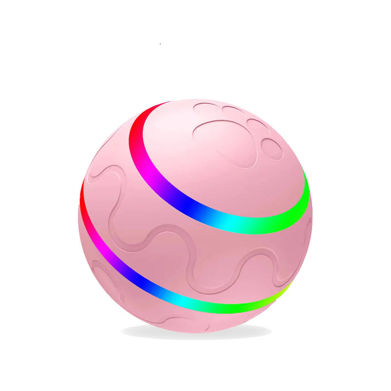 Wicked Ball Toy - In Paw Store