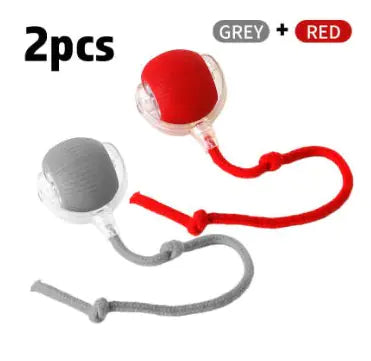 Interactive Cat Toy Ball - In Paw Store
