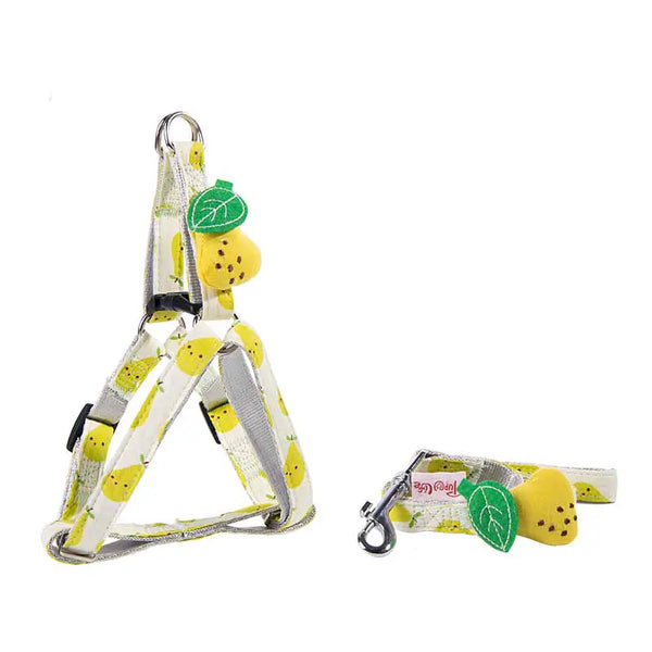 Dog Collars and Leash - In Paw Store