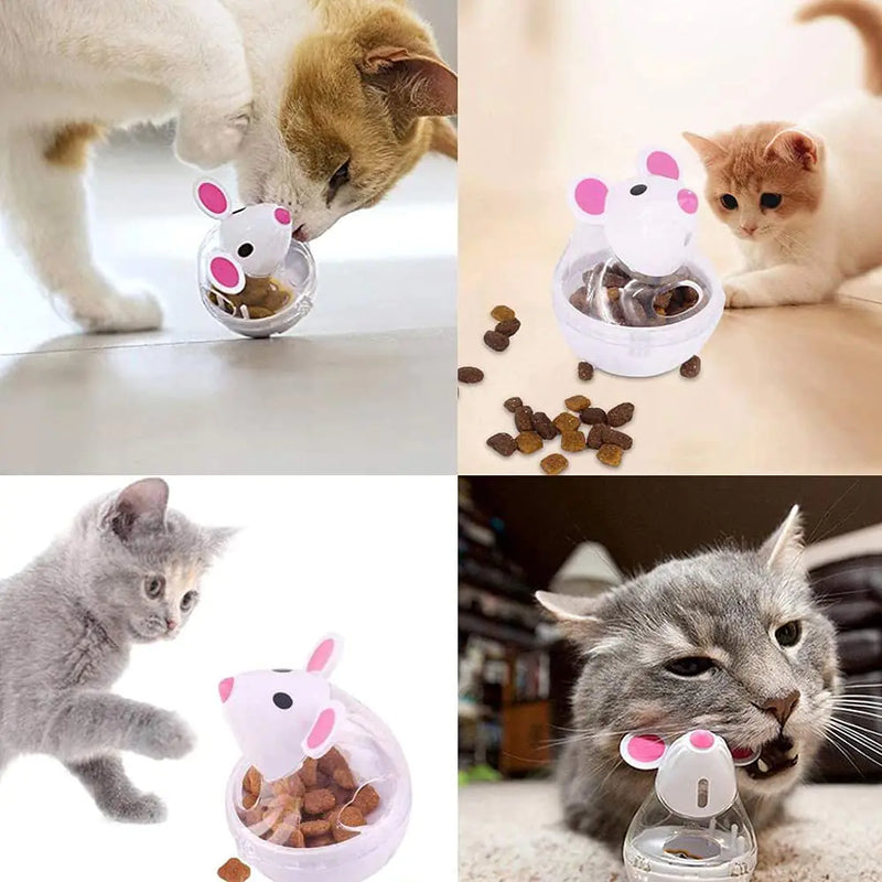 Interactive Cat Food Tumbler Toy and Feeder Ball - In Paw Store