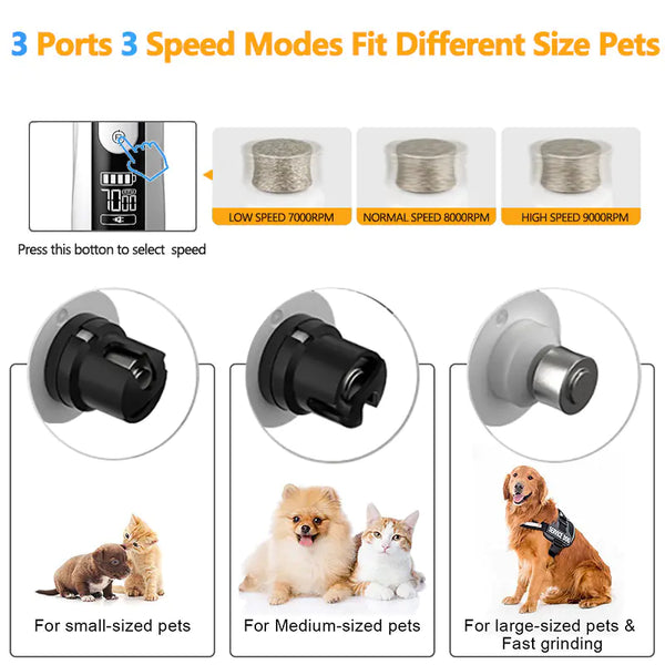 Automatic LED Nail Grinder for Cats and Dogs - In Paw Store