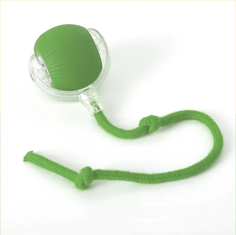 Self-Rolling Cat Toy - In Paw Store