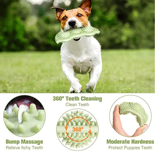 Bite-Resistant Dog Toy Ball for Interactive Chewing - In Paw Store