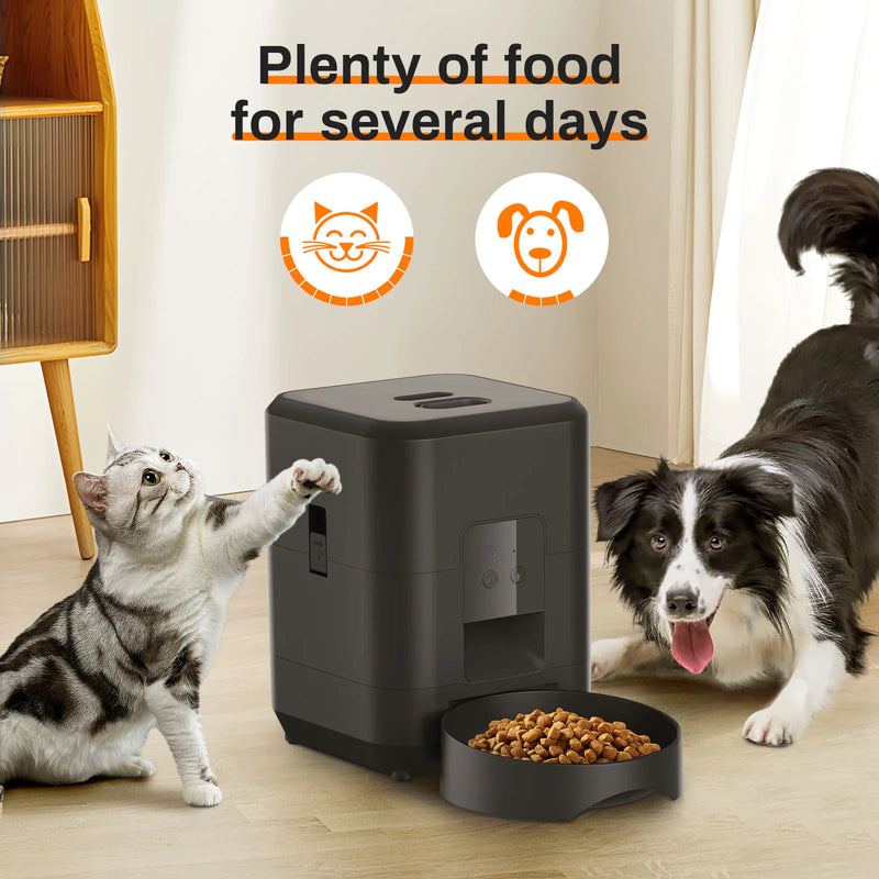 Automatic Pet Feeder - In Paw Store