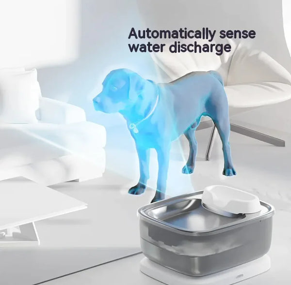 Circulating Pet Water Fountain - In Paw Store