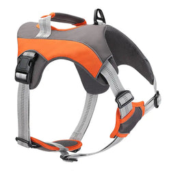 Dog Leashes and Chest Straps - In Paw Store