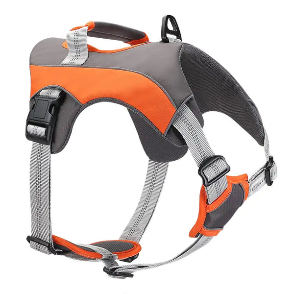 Dog Leashes and Chest Straps - In Paw Store